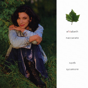 免费又爽黄的视频网站
