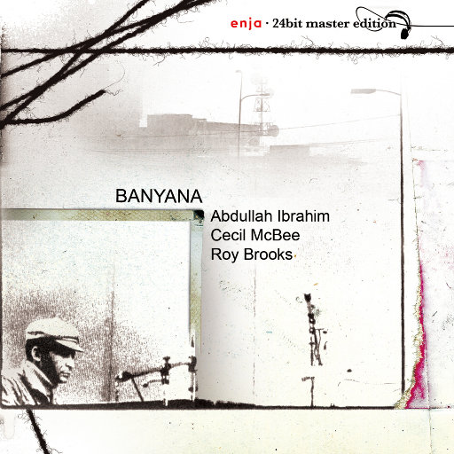 免费又爽黄的视频网站
