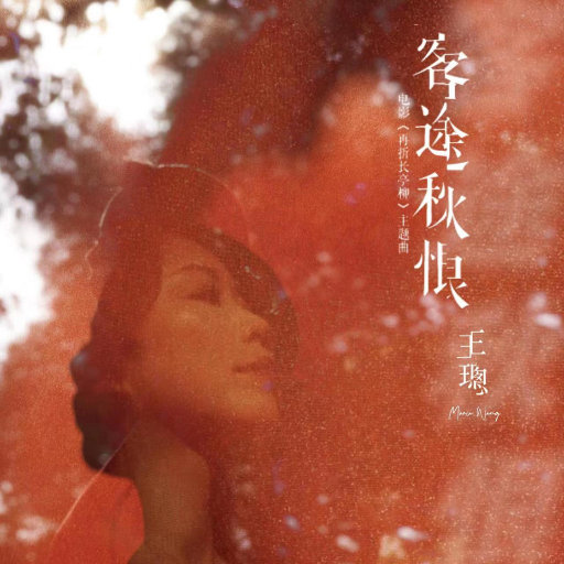 免费又爽黄的视频网站
